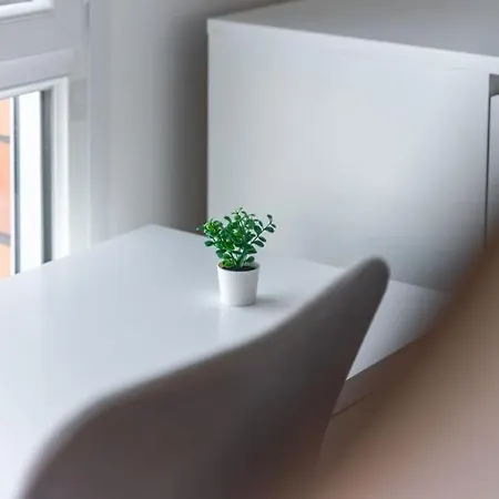 Le Chaleureux, Appartement fraîchement rénové